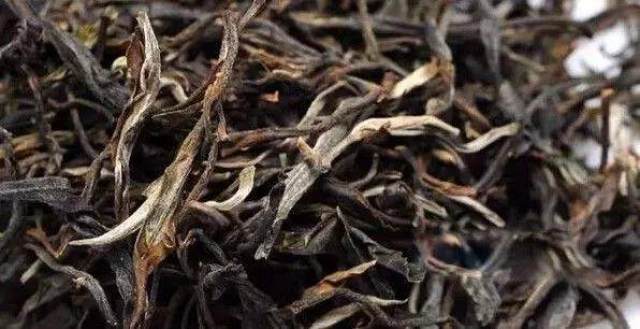 探秘普洱茶条索之美