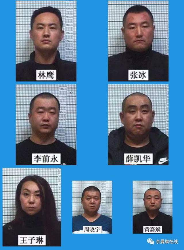 通辽关于检举揭发林鹰,张冰,李前永,薛凯华,王子琳,周晓宇,黄嘉斌等人