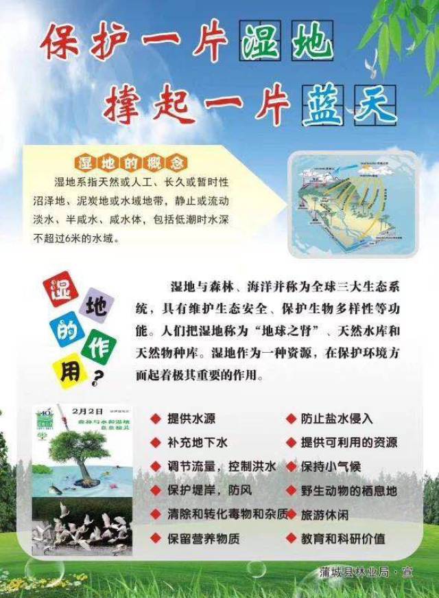 保护湿地倡议书
