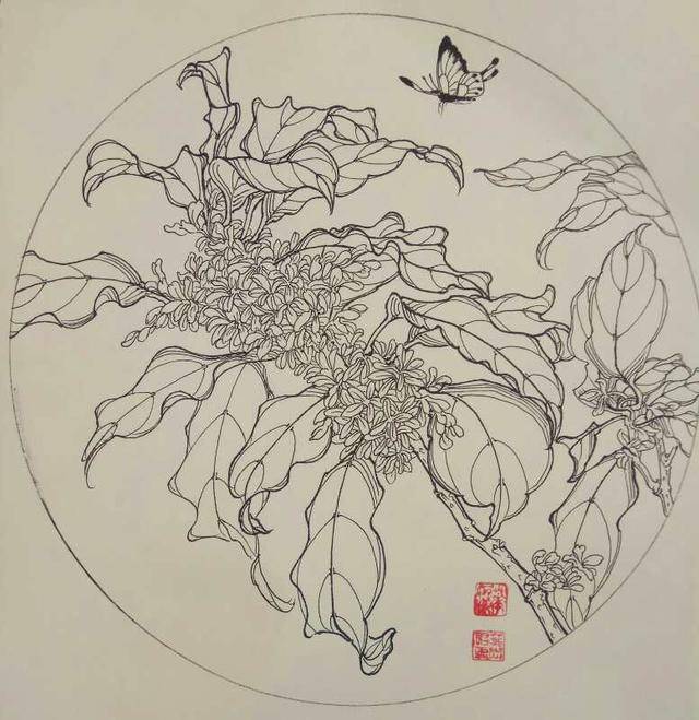 桂花的画法素描图片