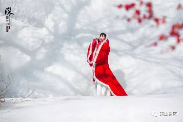 你知道泰山的爱情女神是谁吗?