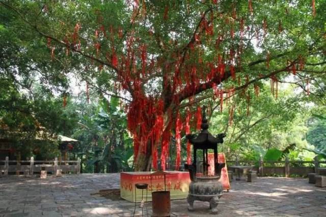 现在看还来得及!