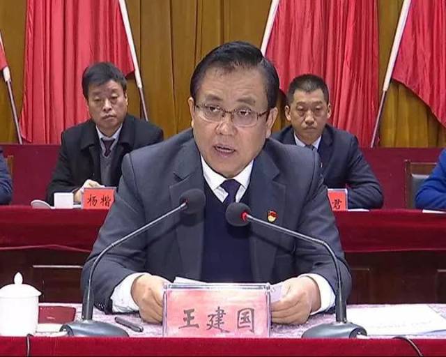 内黄县县长王辉简历图片