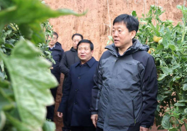 沁源县委书记金所军调研雪后群众生活和农业生产情况_手机搜狐网