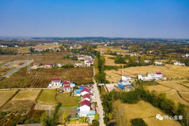 美丽山村我的家白塔畈镇桥店村