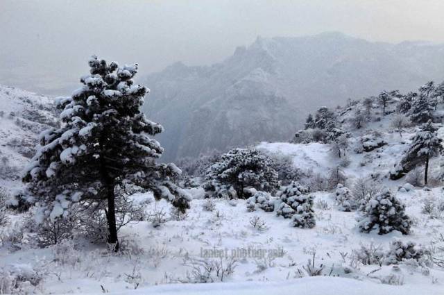 行人日暮少,风雪乱山深 风雪 风雪三冬北,江潮二月时.