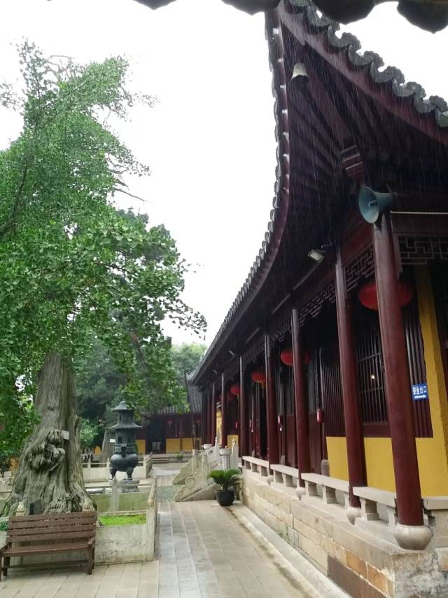 玄墓山圣恩寺庙会,浓浓的年味