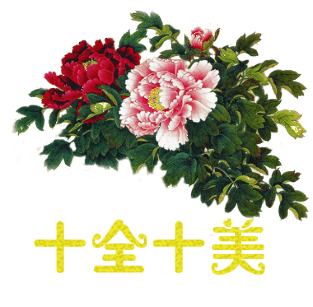 380_373gif 动态图 动图