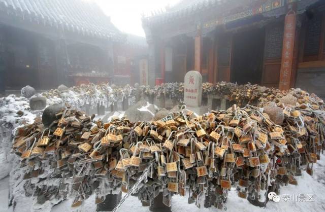 你知道泰山的爱情女神是谁吗?