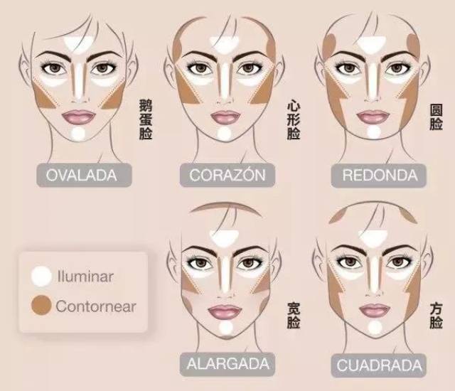 七种脸型的修容图,各种脸型的修容图,七种脸型的修容分布图(第10页)_大山谷图库