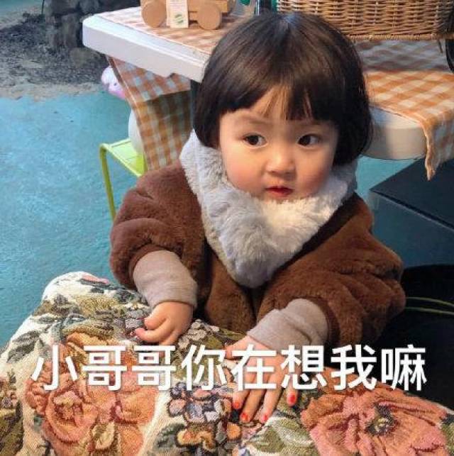 斗图表情包:情侣都低调一点,不要逼我动手