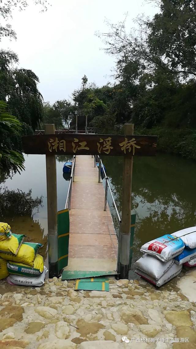 【小编推荐】周末哪里去?快来梧村花海浪起来