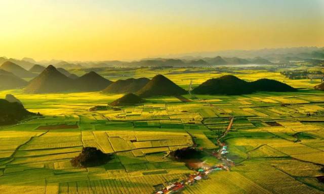 航拍云南80万亩油菜花田美到爆,二月惊艳全世界!