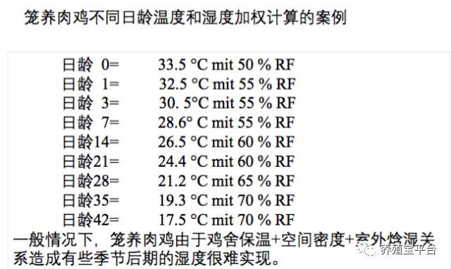 肉鸡体感温度对照表图片