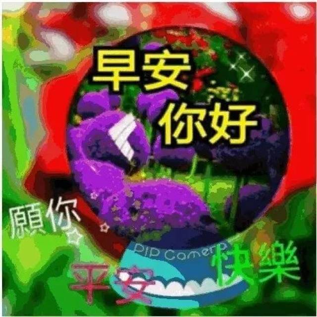 每天发朋友圈必备的漂亮早上好祝福图片微信清晨早上好动画表情