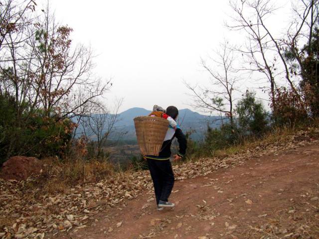 背篓是山区人民的常用劳动工具,于孩子也是第一次使用,坐在背篓里