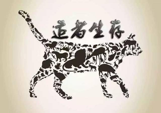 都2019年了,你的纺厂还在亏钱?——适者生存