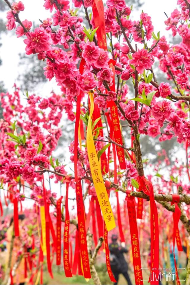 tips3 / 祈福 / 听说在桃林许愿特别灵.