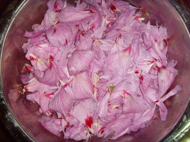 农村茅厕边的野花,俗称"鸡肉花",是民间价值珍贵的上佳野菜