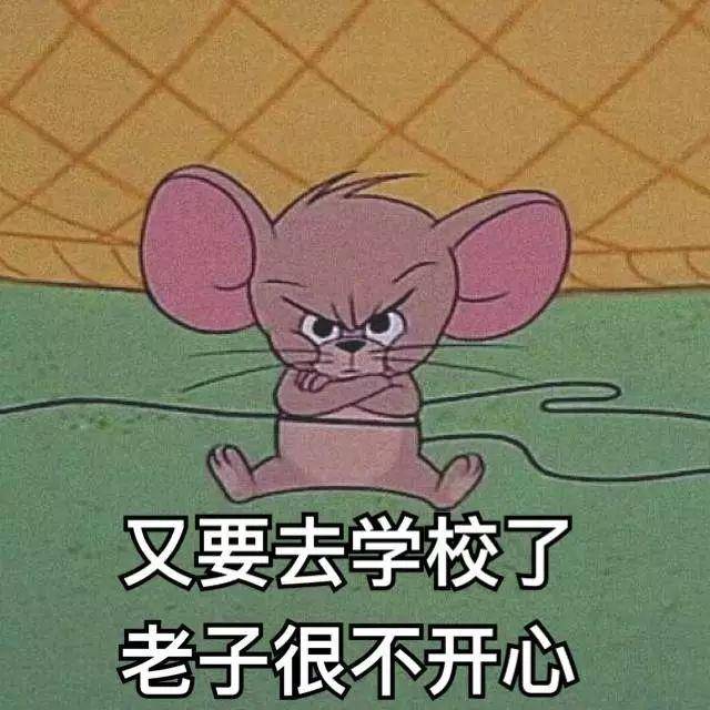 猫和老鼠开学表情包:又要去学校了,老子很不开心