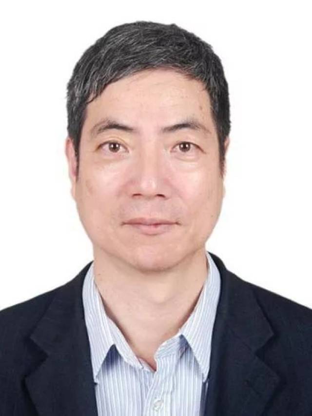 (11篇论文),编辑部邀请到宋志群,张炎炎两位专家担任本期专题客座主编