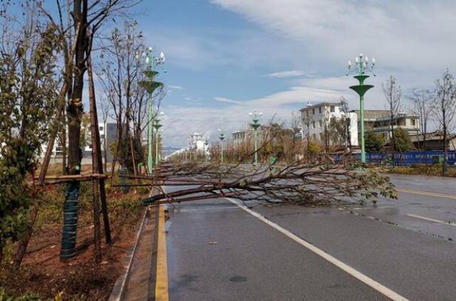 强对流席卷德宏梁河,多个乡镇出现大风灾害,房屋受损.