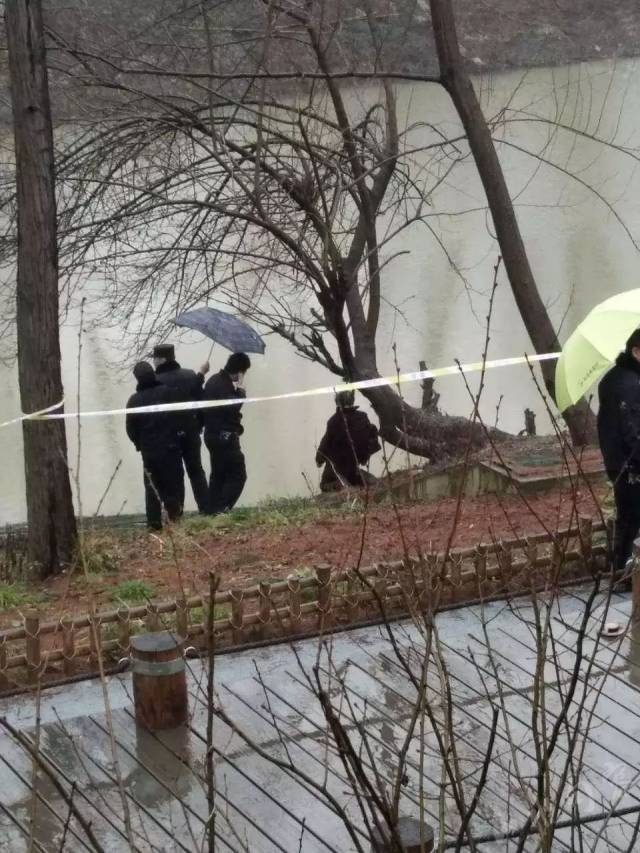 悲劇!鎮江某地風光帶一老人疑似上吊身亡,太心酸