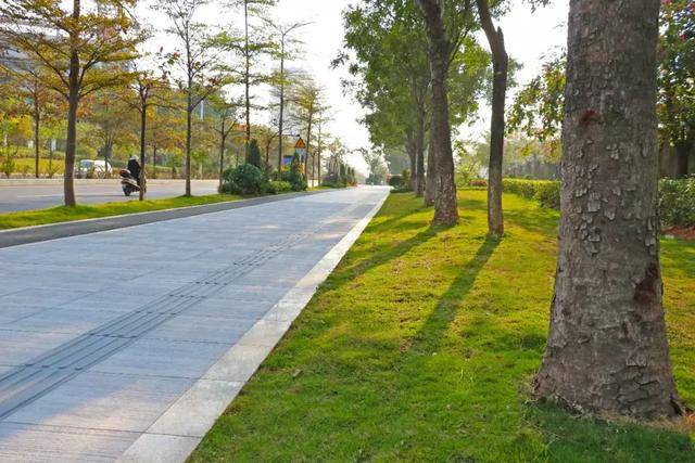 一条人行道8种花样的砖!没走过太out了