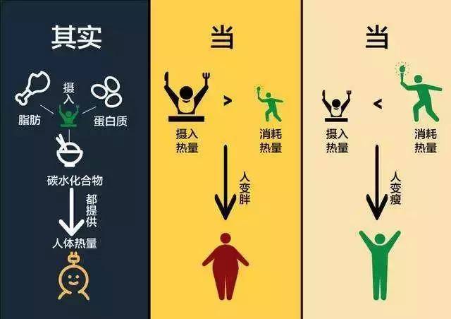 所以如果你想减脂,那么你的总能量摄入就要低于你的总能量消耗才行.