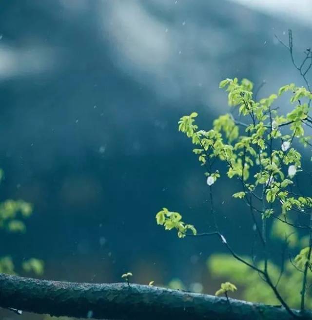 在一夜微风细雨中,慢慢走来.