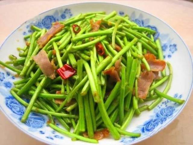 离我家门前不远处的小河边有一片野生香蒿,其苞芽嫩翠翠的掩盖了一处