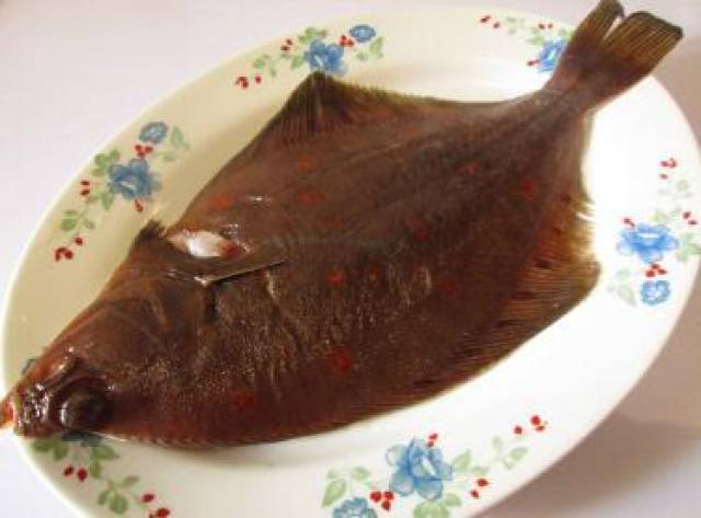 清蒸鲽鱼原汁原味肉嫩刺少肉质鲜嫩鲜味无比营养丰富