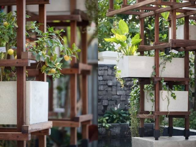 园艺疗法| 越南AVC图书馆,啥意思?就是在