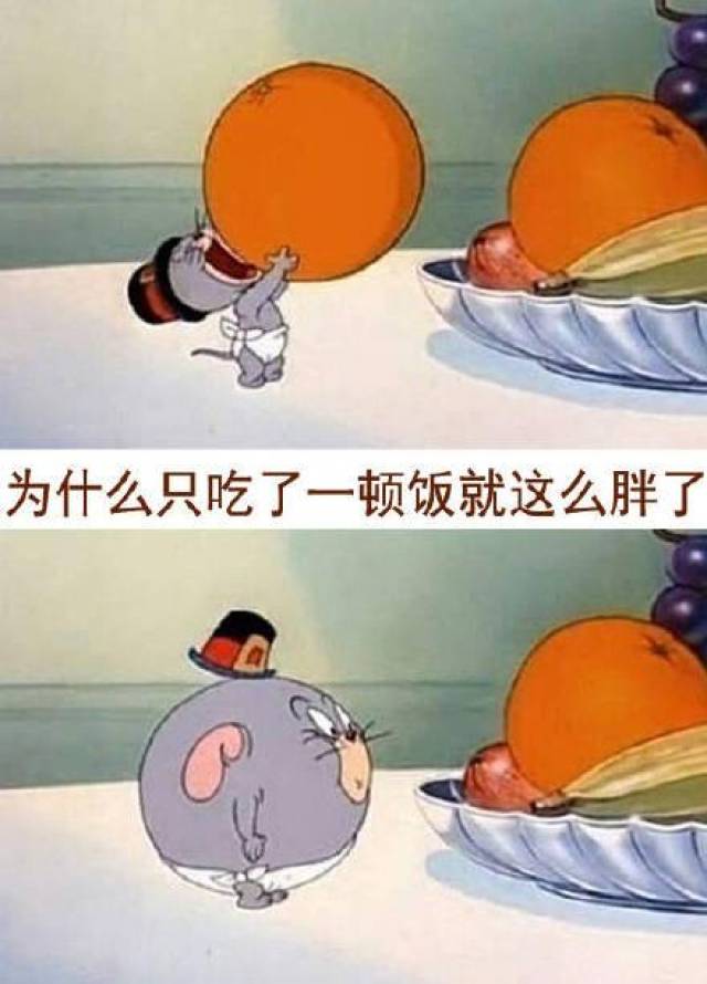 減肥表情包:讓我們紅塵作伴,吃得白白胖胖