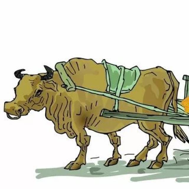 【台海人物志·传承篇】"老黄牛" 占茂鸿