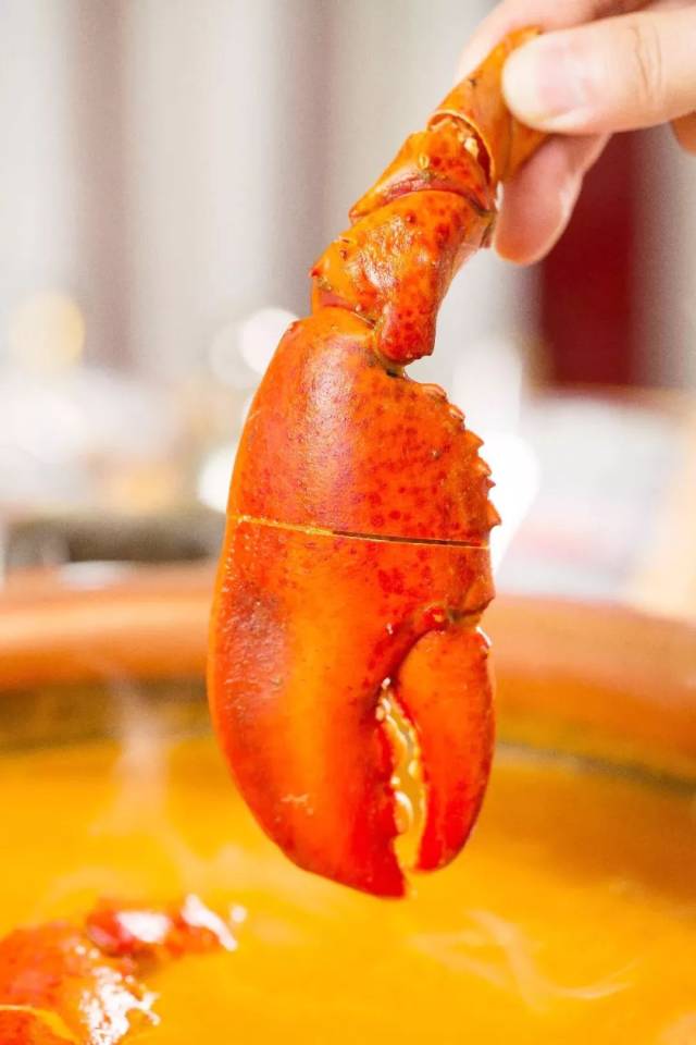 随意捞出一个虾钳都是 重量级的