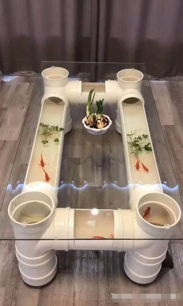 买个鱼缸少说几百块!几根pvc管就能养鱼,还能做茶几,一举两得
