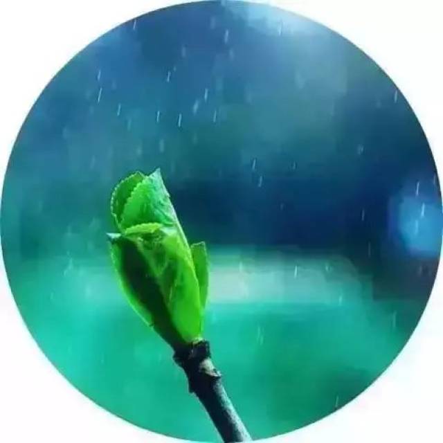 初春小雨 (唐) 韓愈 天街小雨潤如酥,草色遙看近卻無.