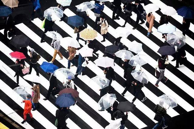 俯拍是最容易把照片拍出彩的角度(尤其有斑马线的地方),推荐一哈