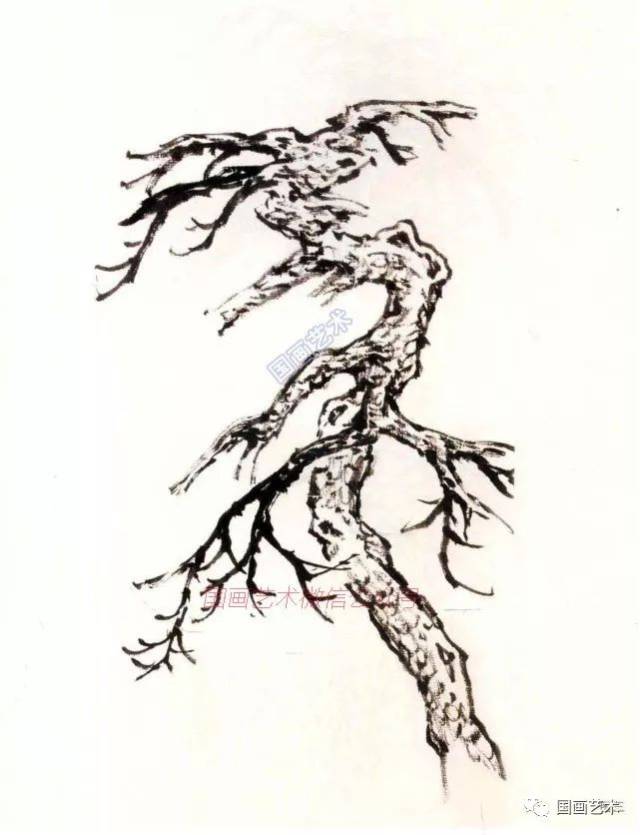 冬天的松树画法图片