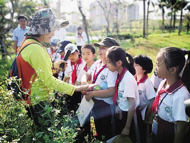 一堂自然科學課 海口丁村小學學生走進溼地公園