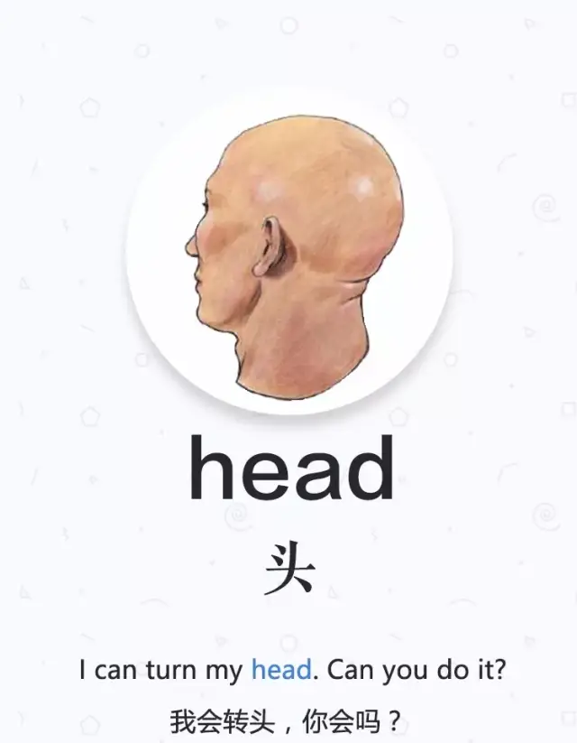 实用英语学习卡片分享:身体部位的英语单词!