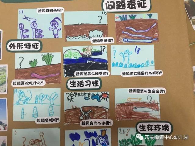 【东幼农场小故事】蚯蚓大百科——大一班动物探究记