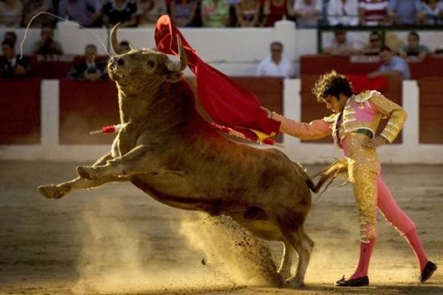 情陷西班牙国粹:斗牛与弗拉明戈