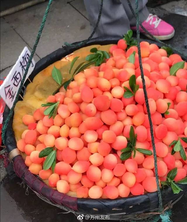 网友:骗子水果,又贵又难吃!