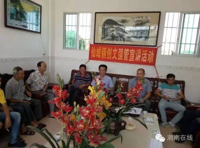 【一把手谈落实】仙城镇:大干快上 推动各项工作迈