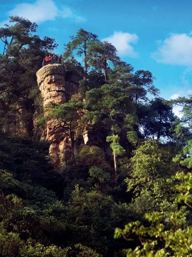 赛事| 2019重庆北碚缙云山国际森林山地马拉松火热报名中!