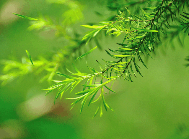 640_472gif 动态图 动图