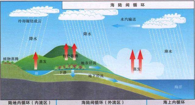 海陆间水循环的示意图图片