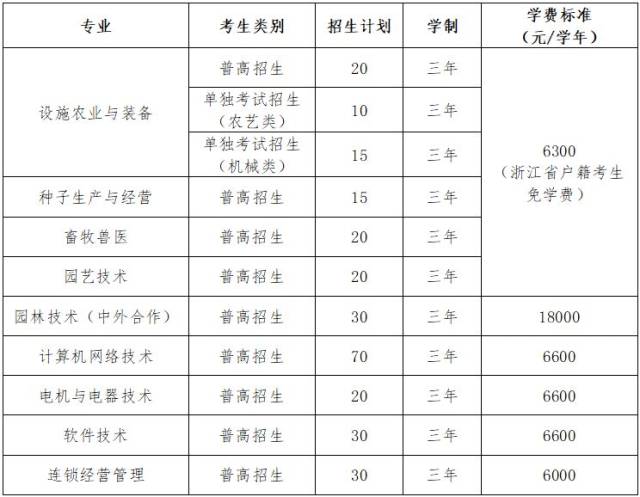 温州网络技术：一座数字小镇的崛起